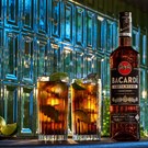 More bacardi_cartanegra.jpg
